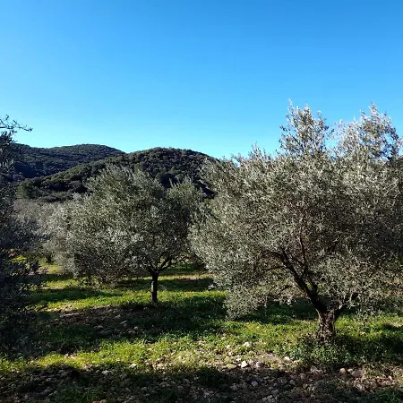 Hotes * Le Bosc (Herault)